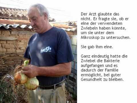 WELT 2011 -- DAS ZWIEBEL-GEHEIMNIS