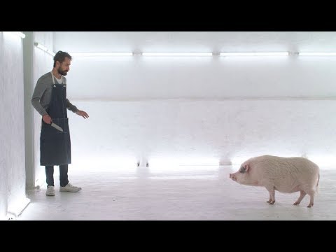 Dieser neue Kurzfilm wird dich in nur 2 Minuten zum Veganer machen