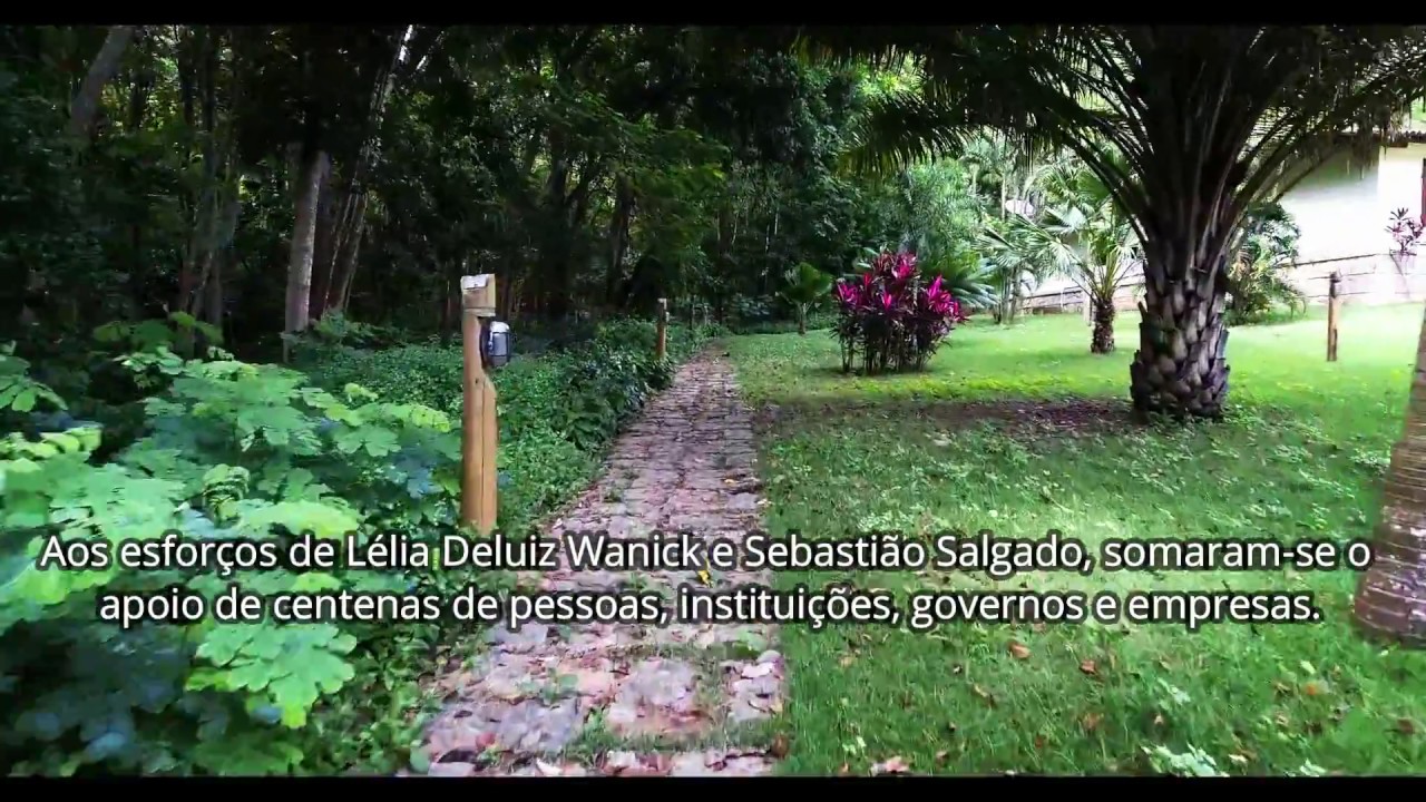 Instituto Terra - 20 Anos