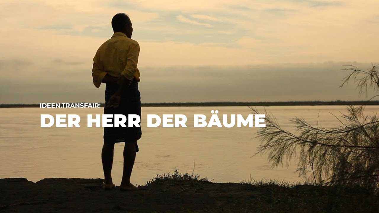 DER HERR DER BÄUME