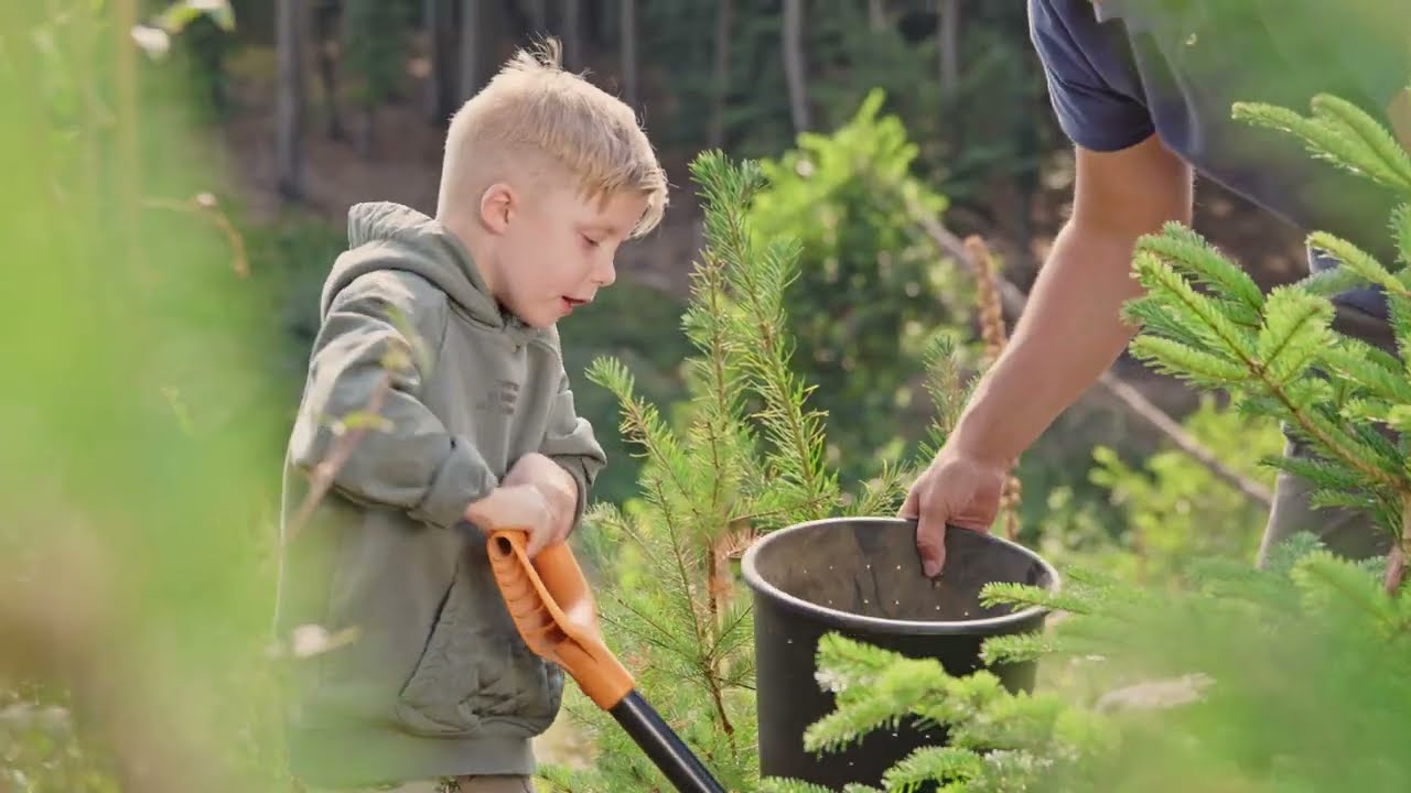 Nachhaltige Weihnachten | Die Idee von Replants