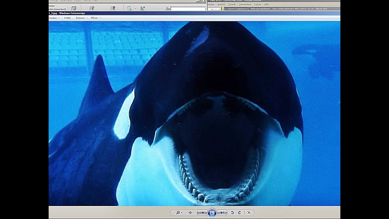 BLACKFISH | Trailer german deutsch [HD]