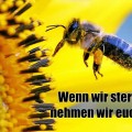 Bienensterben - Die Lügen der Chemiekonzerne / Fakten über Honig, Wachs und andere Bienenprodukte