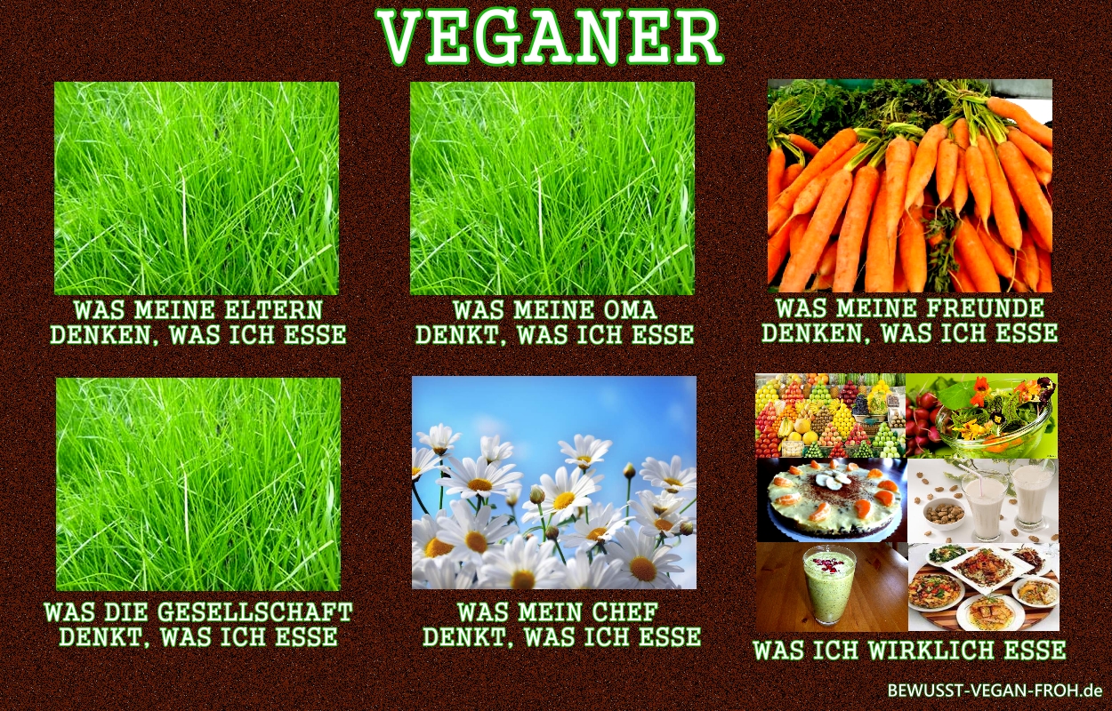Was essen eigentlich Veganer ? ) ☼ ☺ BewusstVegan