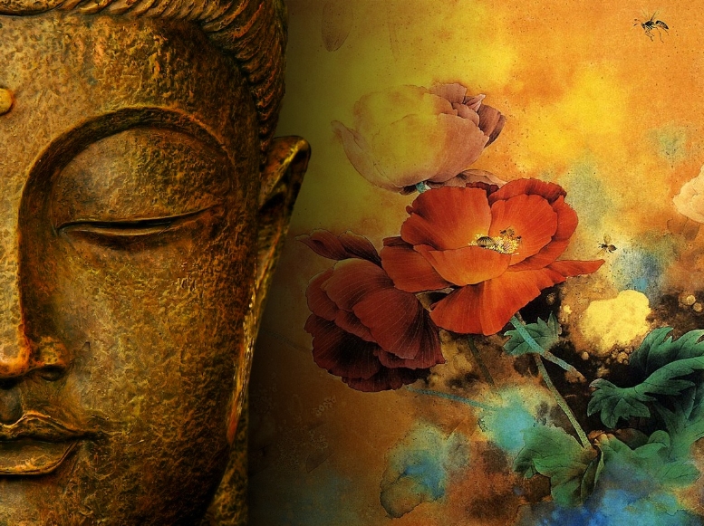 25 Buddha Zitate Die Dein Leben Verändern Können