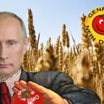 Russland macht es vor: Es verbietet Gentechnik-Anbau und importiert keine gentechnisch veränderten Lebensmittel