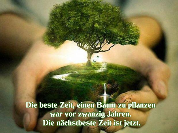 Get Zitat baum pflanzen HD