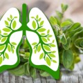 15 Pflanzen und Kräuter, die die Gesundheit der Lungen verbessern können
