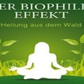 Heilung aus dem Wald: „Der Biophilia Effekt“