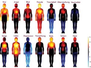 Anatomie der Gefühle - Wo spüren wir unsere Emotionen? - ☼ ☺ Bewusst ...