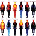 Anatomie der Gefühle - Wo spüren wir unsere Emotionen?