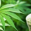 Faszinierendes Resultat: Frau ersetzt 40 Medikamente durch rohen Cannabis-Saft