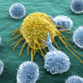 Studie entlarvt den großen Schwindel - Krebsärzte würden selbst niemals einer Chemotherapie zustimmen!