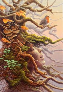 Die Sprache Der Bäume - Spirituelles Orakelkartendeck Mit 41 Karten