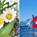 Homöopathie wird offiziell als legitime Heilmethode von der Schweizer Regierung anerkannt