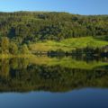 Norwegen verbietet, als erstes Land weltweit, die Entwaldung