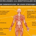 Die Auswirkungen negativer Emotionen auf unsere Gesundheit