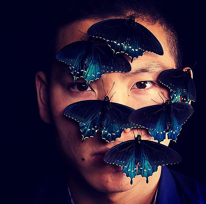 rare-blue-swallowtail-pipevine-butterfly-repopulation-tim-wong-25