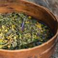 Der heilige Trank der Indianer: Essiac-Tee - Heilmittel gegen Krebs, Asthma, Allergien und Schilddrüsenprobleme?