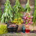12 heilende Kräuter, die du in deinem Garten haben solltest