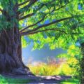 Sprich mit den Bäumen – Wie eine bewusste Sicht auf die Natur dir eine allumfassende Heilung bringen kann