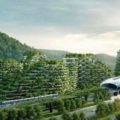 In China entsteht die erste Wald-Stadt der Welt