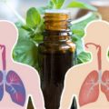 Duftmedizin: Das passiert mit deinen Lungen, wenn du ätherische Öle anwendest