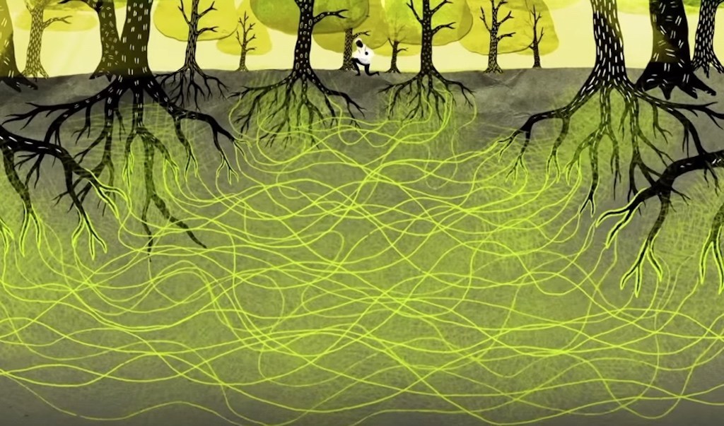 baum_netz
