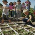 Sollten Kinder in der Schule lernen, wie sie ihre eigenen Lebensmittel anbauen können?
