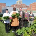 Der Dachgarten dieses Krankenhauses versorgt die Patienten mit über 3000 Kilogramm Bio-Gemüse pro Jahr