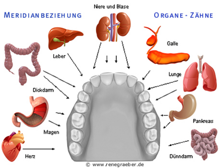 Zahnstörfelder1
