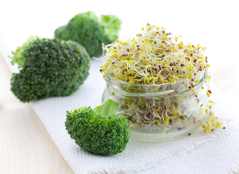 Brokkolisprossen / broccoli sprouts