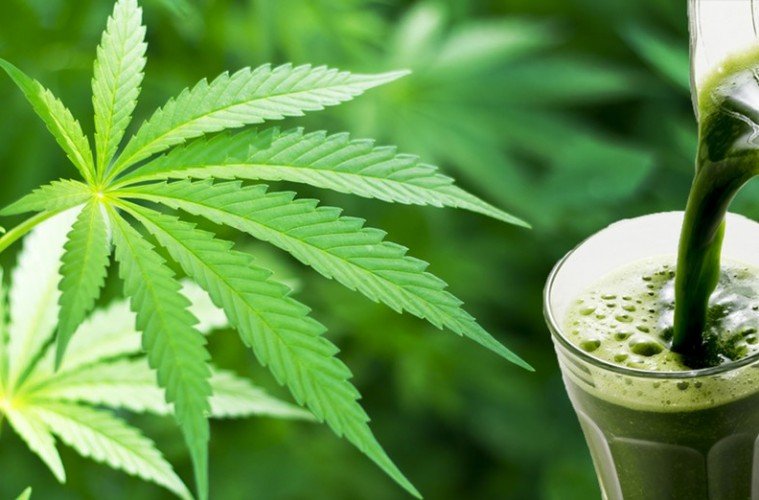 Faszinierendes Resultat: Frau ersetzt 40 Medikamente durch rohen Cannabis-Saft