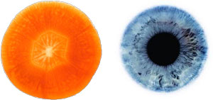 carrot-eye