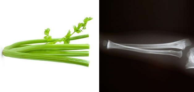 celery-bone