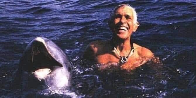 https://www.scuolanonscuola.org/images/apnea/apnea.html Eine berührende Begegnung zwischen Mensch und Tier: Die unglaubliche Delfin-Rettung von Enzo Maiorca