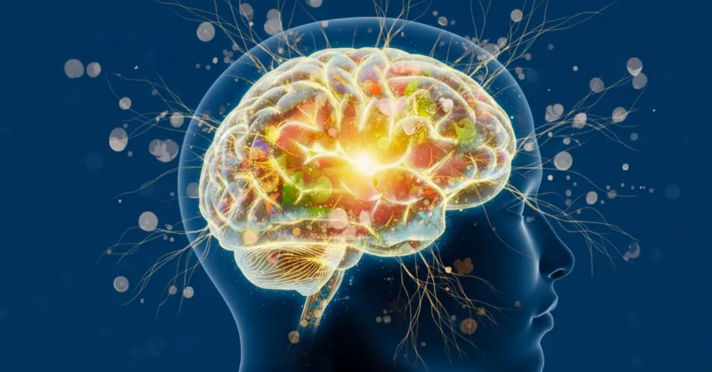Diese 8 Lebensmittel schützen dein Gehirn vor Alzheimer, steigern deine Denkkraft und lassen neue Gehirnzellen wachsen