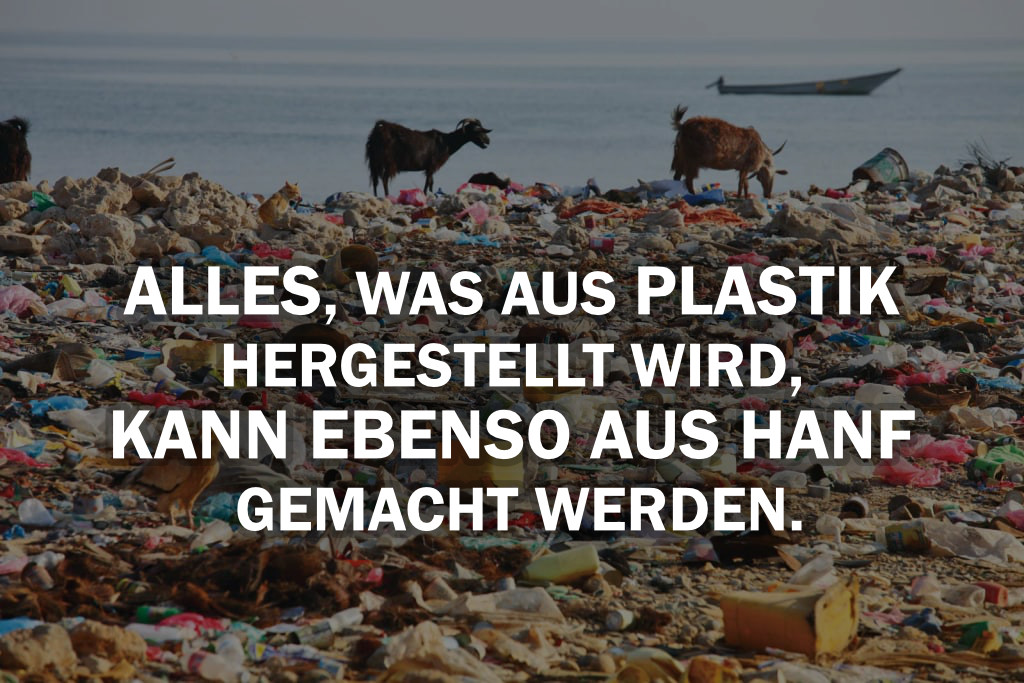 Hanf: Die natürliche Lösung gegen die Plastikverschmutzung der Welt