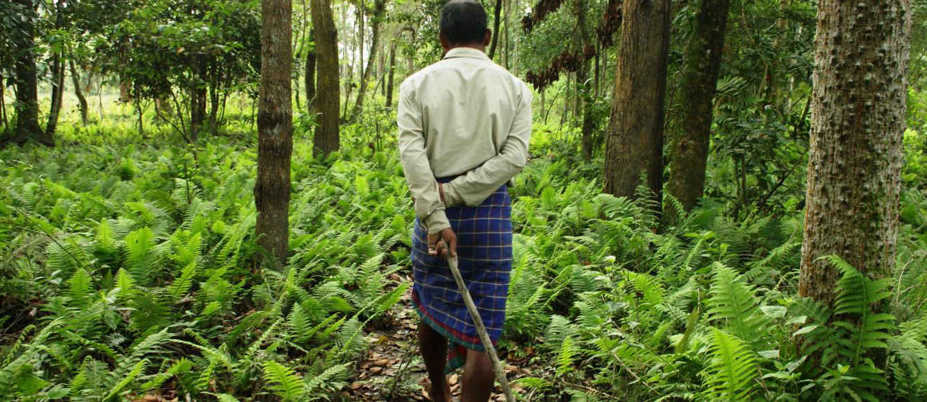 Herr der Bäume: Dieser Mann pflanzte seit 40 Jahren täglich Bäume und erschuf so einen 550 Hektar großen Wald