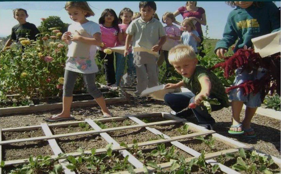 Sollten Kinder in der Schule lernen, wie sie ihre eigenen Lebensmittel anbauen können?