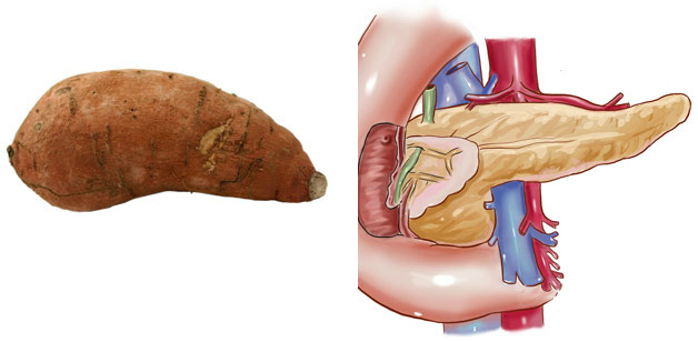 sweet-potato-pancreas3